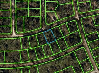 3238 Dean Ave, Lake Placid, FL 33852