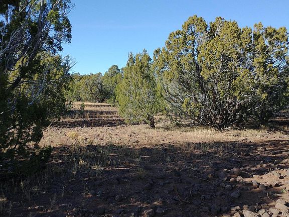 2nd image of 91 County Road 3319 N