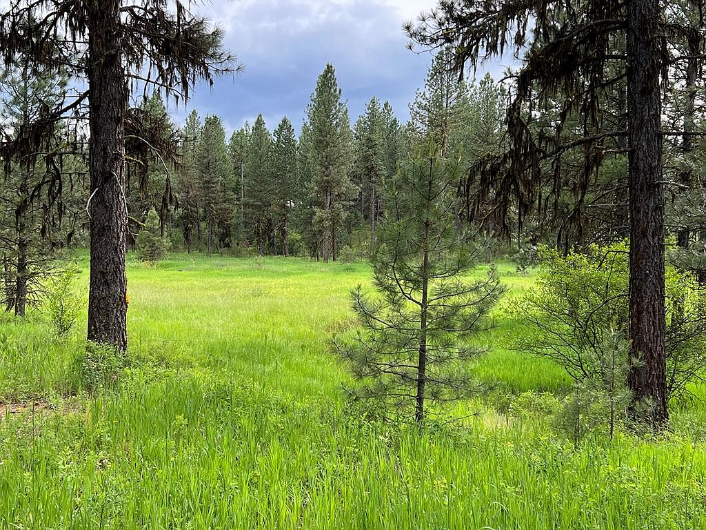LOT 7 Timber Ridge Dr, New Meadows, ID 83654 MLS 536904 Zillow