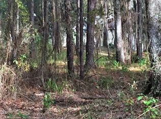 0 Rain Forest Rd, Brooksville, FL 34601