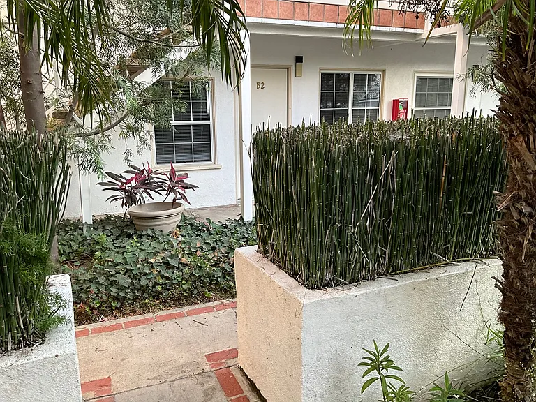 10814-10818 Blix St #10814-814-B2 — Photo 24
