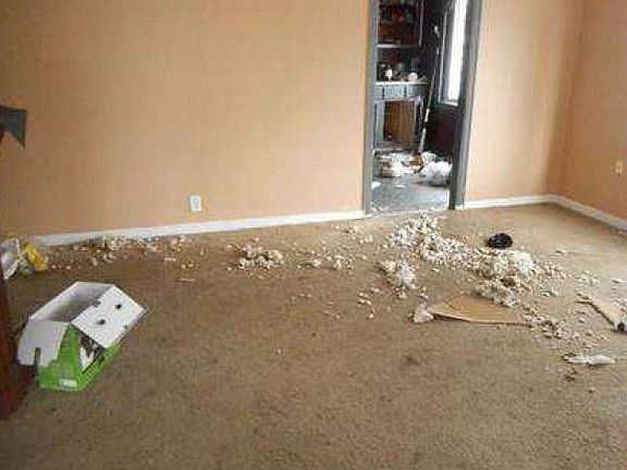 4th image of 1826 Waggoner Ave