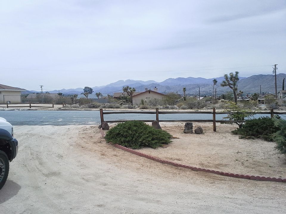 Magnificent sighting of Bear