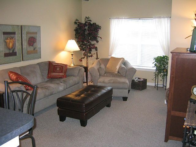 Comfy Living Room!