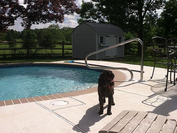 Pool, Patio and Storage Shed