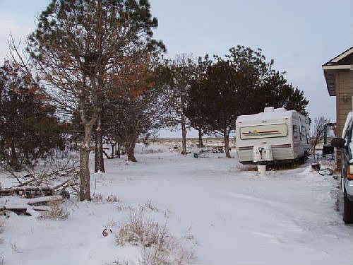 Mature trees west of house
