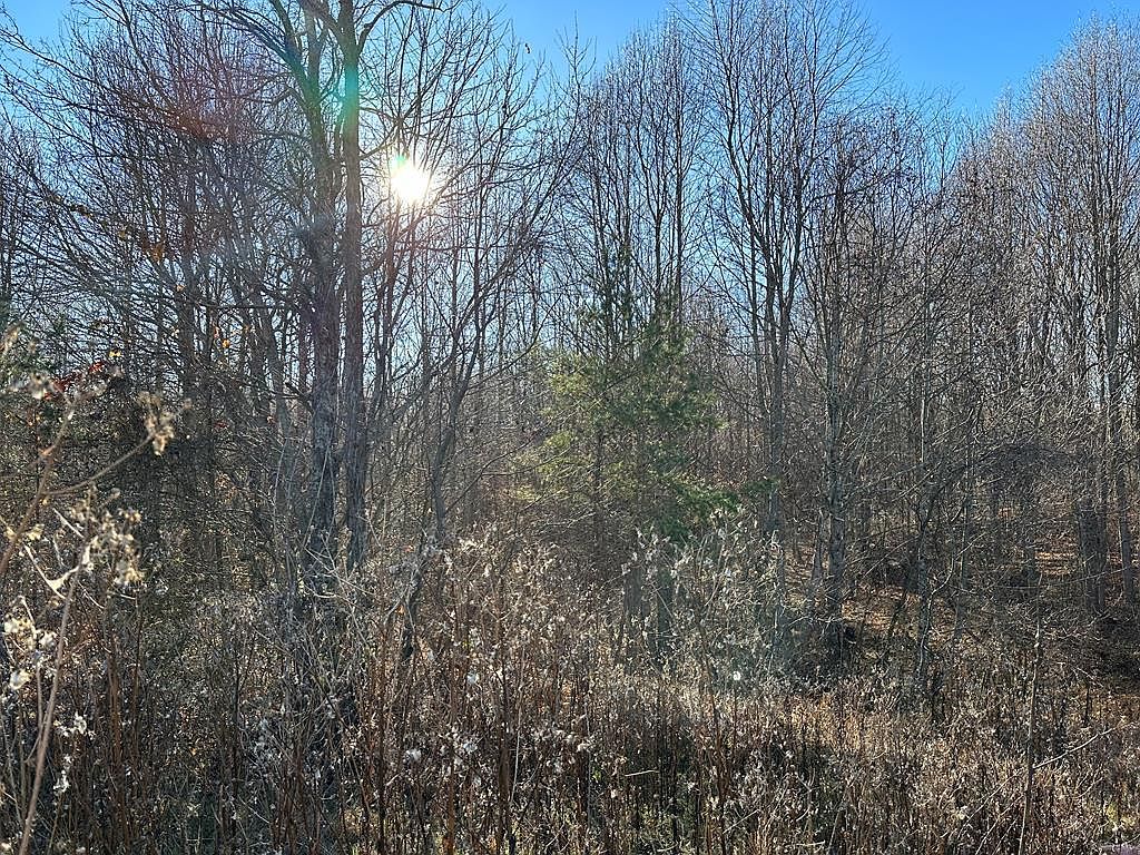 863 Showcase Ln, Hillsville, VA 24343 MLS 89471 Zillow