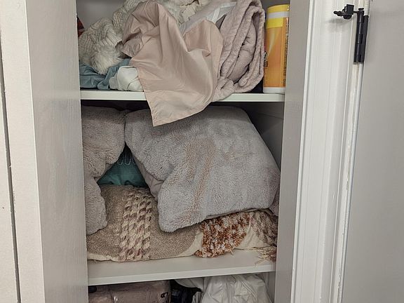 Bathroom closet