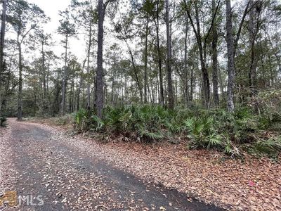 15 Cotton Field Rd, Brunswick, GA, 31523