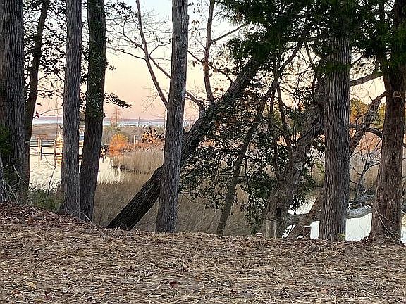 2nd image of 136 Albatross Ln