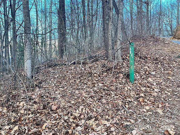 4th image of 134 Bradley Ascent Ct Lot 58