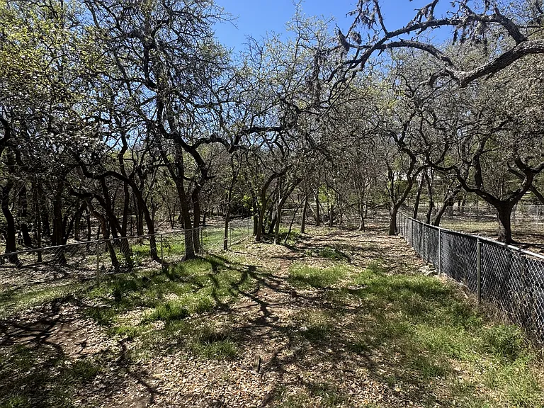 405 Whitetail Dr — Photo 14