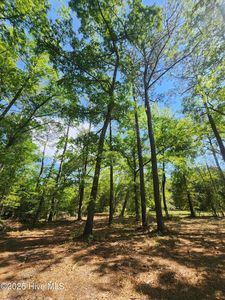 Lot 4 Shaw Highway, Rocky Pt, NC, 28457