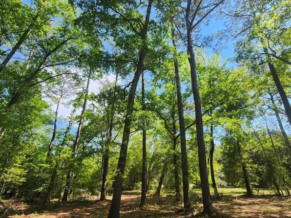 Lot 4 Shaw Highway, Rocky Point, NC 28457