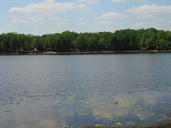 Lakeshore from Dock