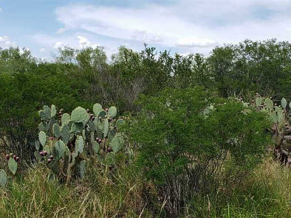 5th image of 372 Four Points Rd