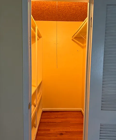 main walkin closet