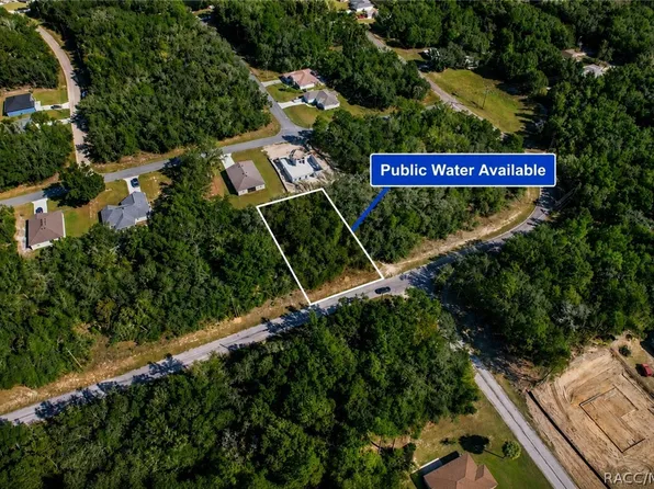 10562 N Adler Dr, Citrus Springs, FL 34434