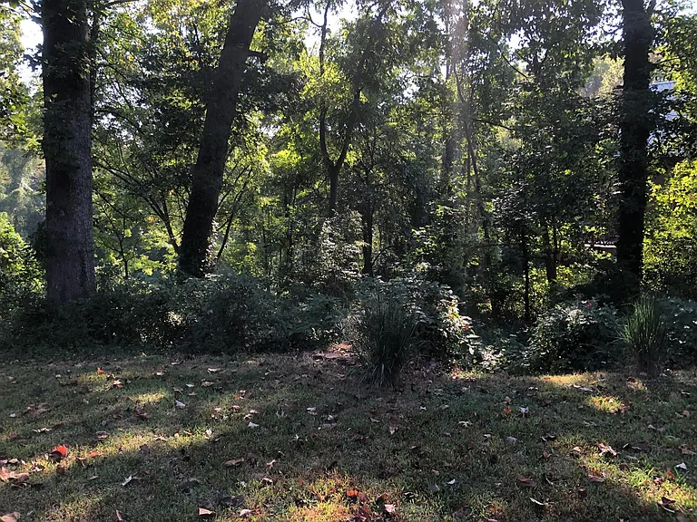 80 Sulphur Springs Rd — Photo 12
