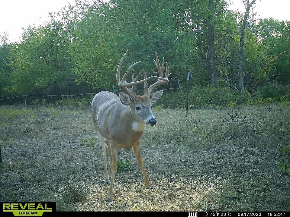 1896 Texas Rd, Rantoul, KS 66079 Zillow