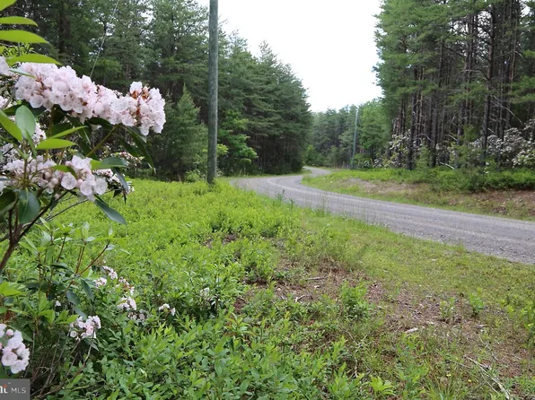 80 Doe Gdn, Yellow Spring, WV 26865