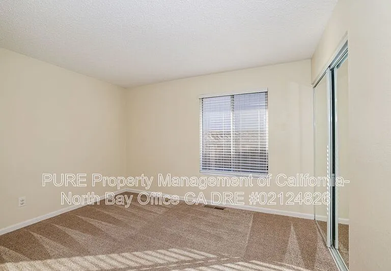 5336 Alyssum Ct — Photo 23