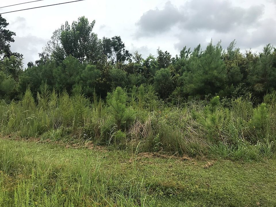 2nd image of 4884 Brunswick Hwy