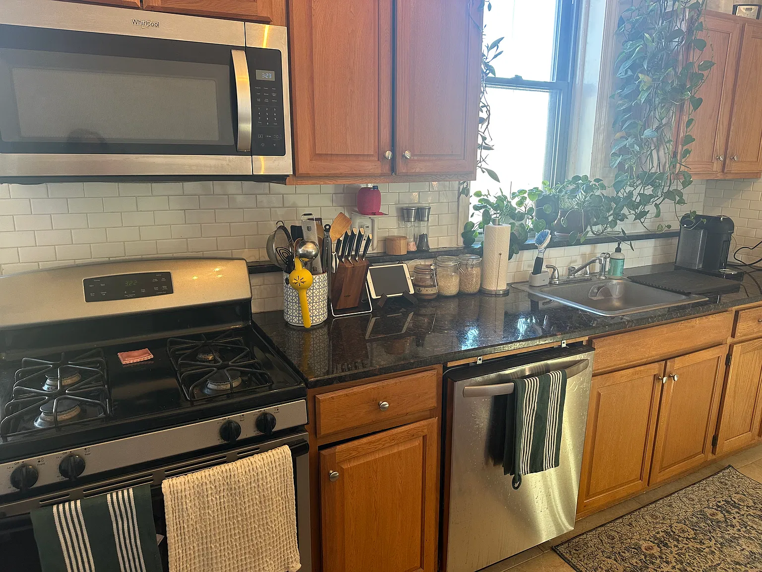1 bed, 700 sqft, $2,500 — Photo 2