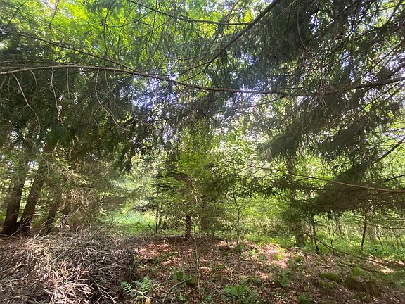 5th image of 0 Horsecreek Rd
