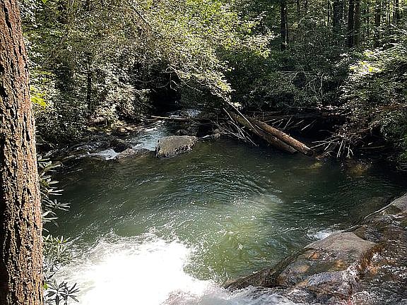 Amazing swim/fishing hole