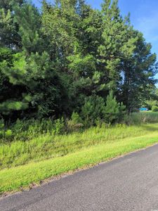 TBD Pecan Ln., Conway, SC, 29526