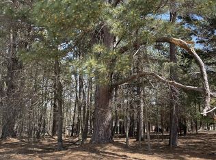 Tbd Cr 2432, Pittsburg, TX 75686