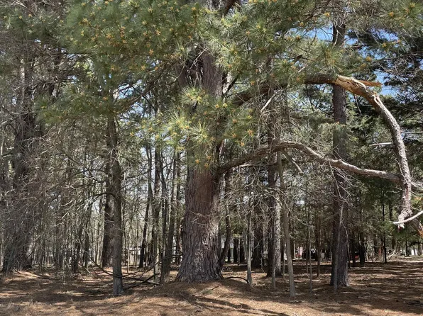 Tbd Cr 2432, Pittsburg, TX 75686