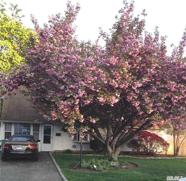 1st image of 117 Pilgrim Ln