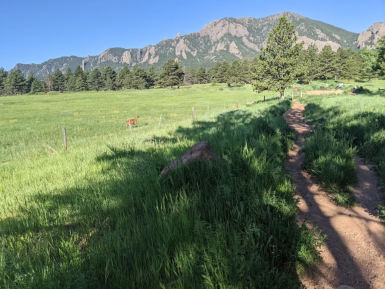 Shanahan Ridge Trail