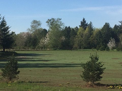 5th image of 49 Xx Northwest Dr