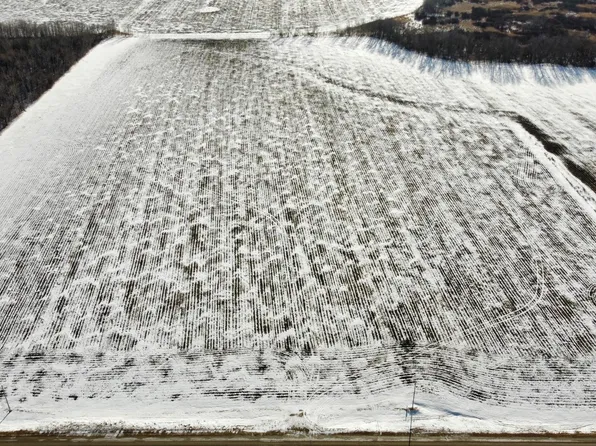 PARCEL 110th St NE #B, Thief River Falls, MN 56701