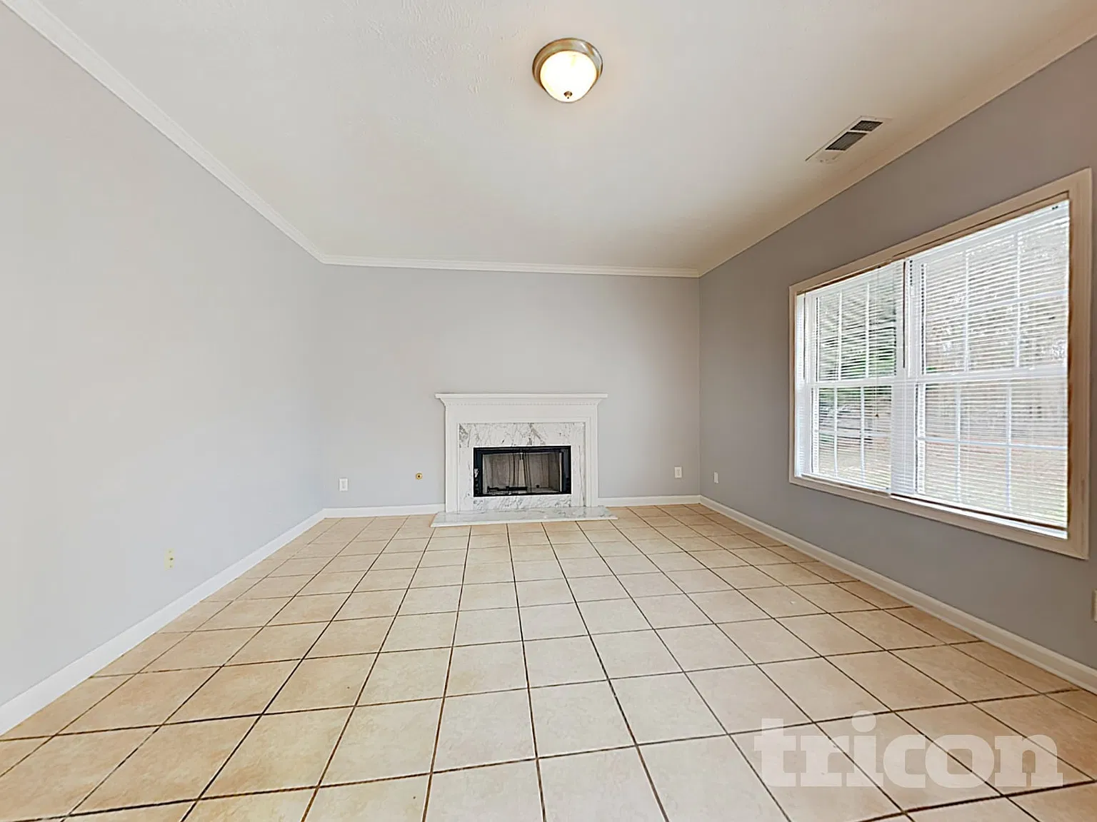 2652 Shoalcove Trail Bethlehem GA — Photo 2