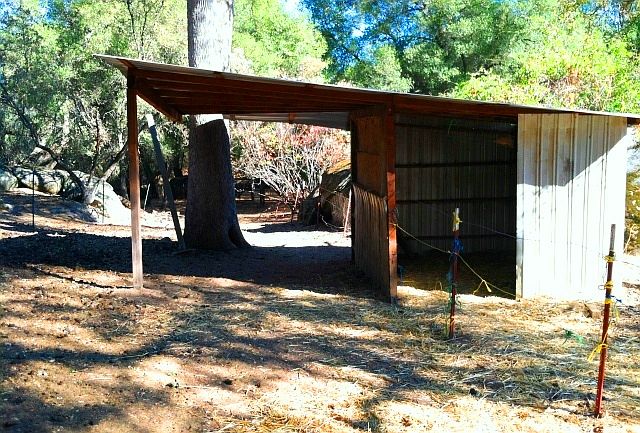 2nd image of 4329 Buckeye Creek Rd