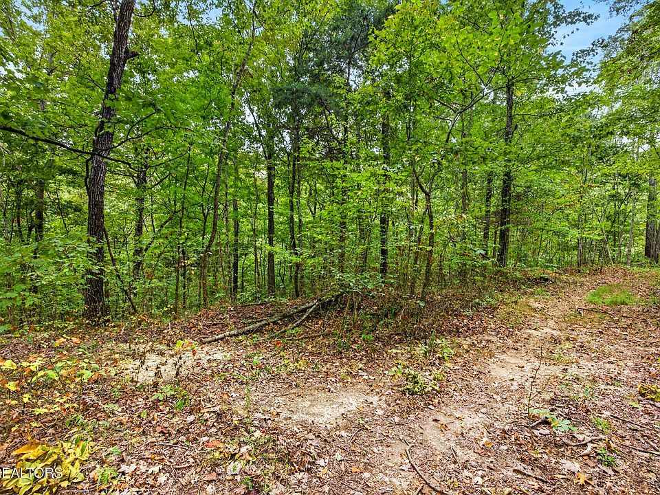 1st image of 20 Timber Ridge Ln