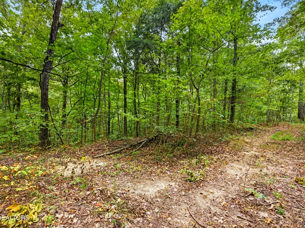 20 Timber Ridge Ln, Celina, TN 38551