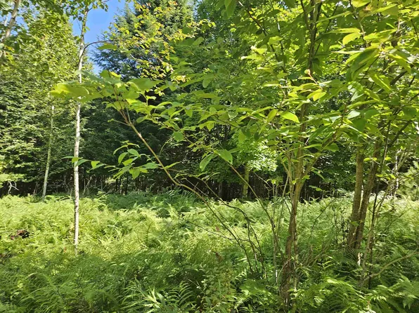 Lot 3.3 Off Parker Road, Lisbon, NH 03585