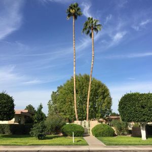 9970 W Royal Oak Rd APT Q, Sun City, AZ, 85351