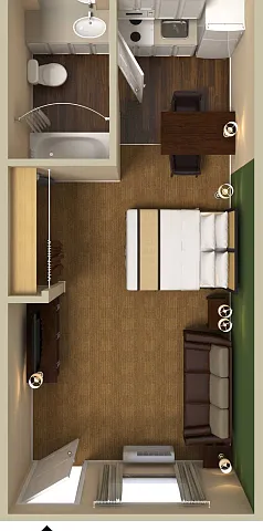 Deluxe Studio - 1 King Bed