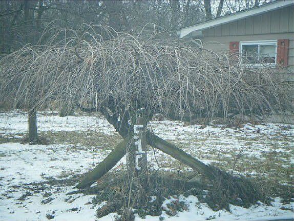 1st image of 510 Marion Manor Woods