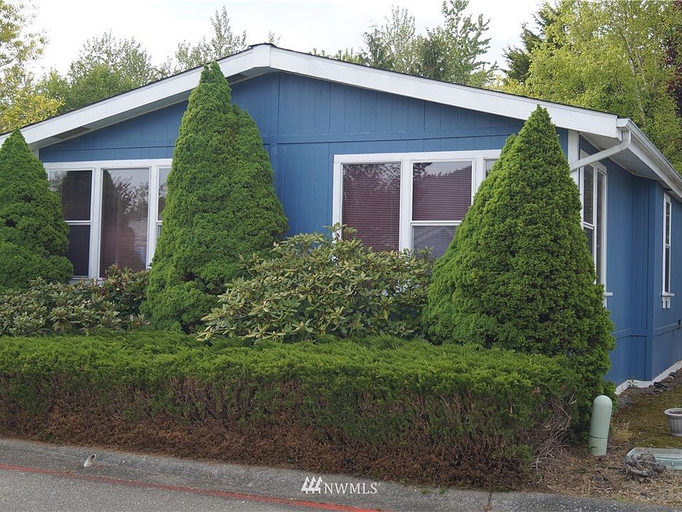 Front end of home - Living room windows. Better view of Mount Rainier if the trees were removed.