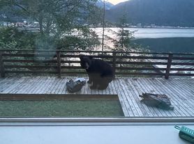 3290 Douglas Hwy, Juneau, AK