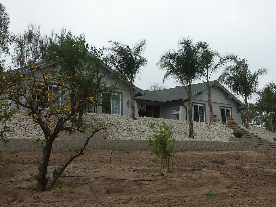 View from Driveway
