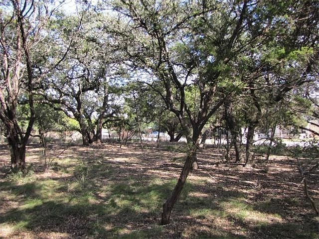 View from Interior, Level Wooded Corner Lot.