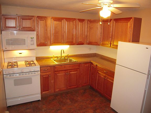 Kitchen with gas stove, microwave, and refrigerator has ceiling/light fan
